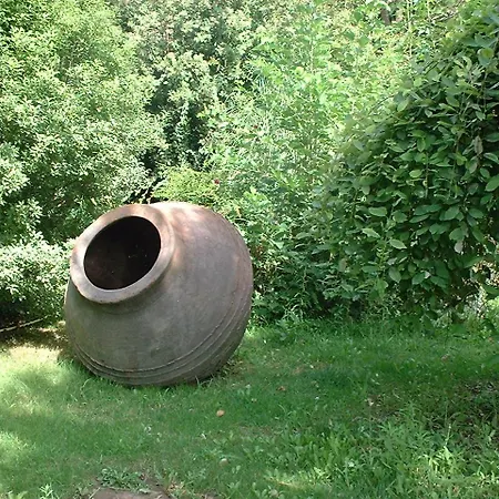 Campagne Montelimar